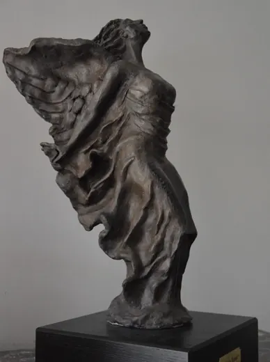 Angelo in volo 2015
