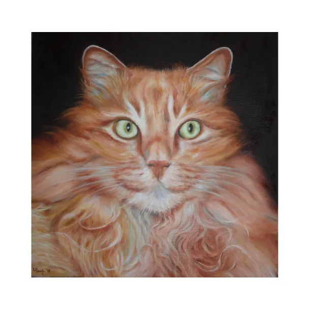 Camillo - olio su tela cm. 40 X 40 2012