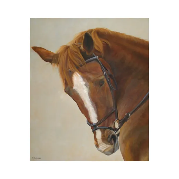 Testa cavallo - olio su tela cm. 40x50 2013