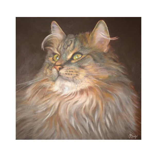 Maine Coon - olio su tela cm. 40 X 40 2012