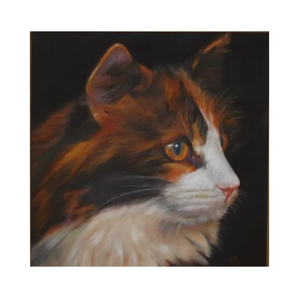 Norvegese rosso - olio su tela cm. 40 X 40 2013